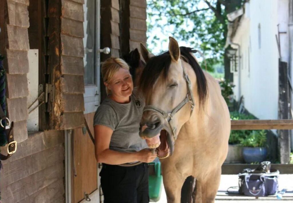 craniosacral therapy stimulates the parasympathetic nervous system. a relaxation response can be that the horse yawns. photo bettina stecher