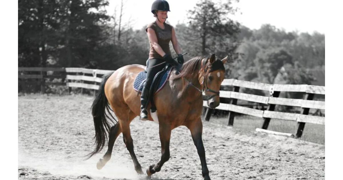 inside leg to outside rein a key concept in dressage training. photo archive.