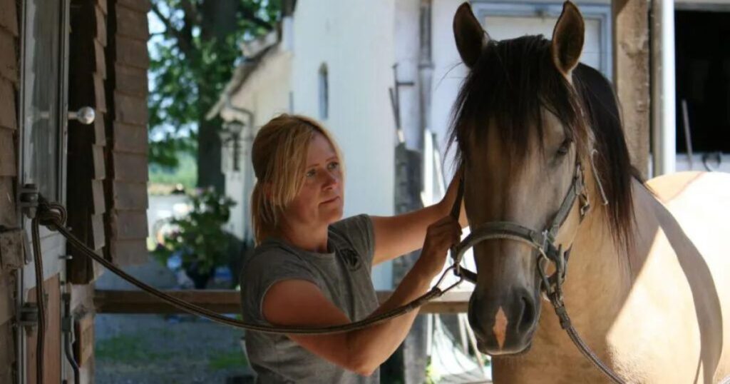 the way in which the techniques are performed can vary from therapist to therapist. photo by bettina stecher