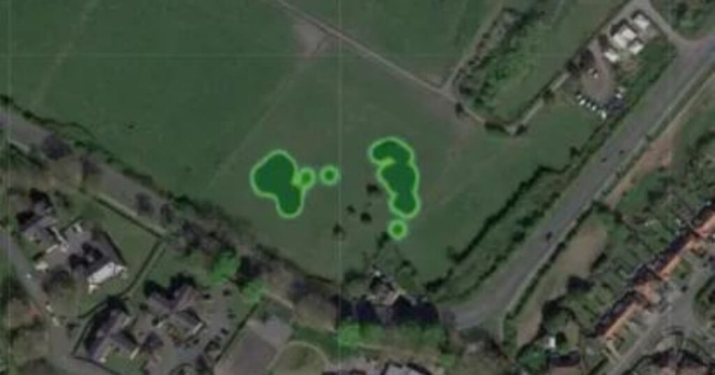 the marked green areas show where the horses were primarily located in the paddocks during the experiments. photo trackener.com 