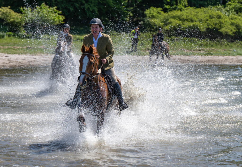 Rider in Water with horse