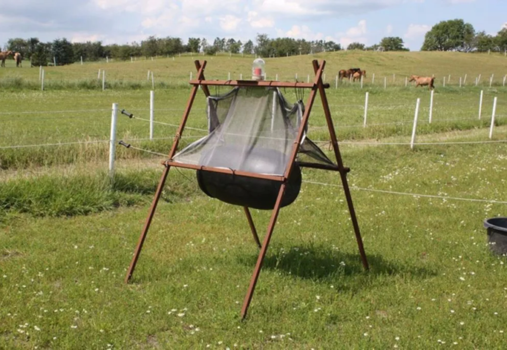 A homemade fly trap. Photo: Heste-nettet.dk
