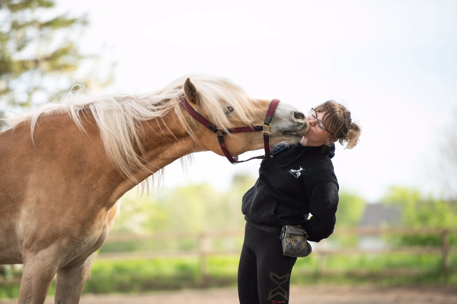 5 fun tricks to easily train your horse | Malgré Tout Media